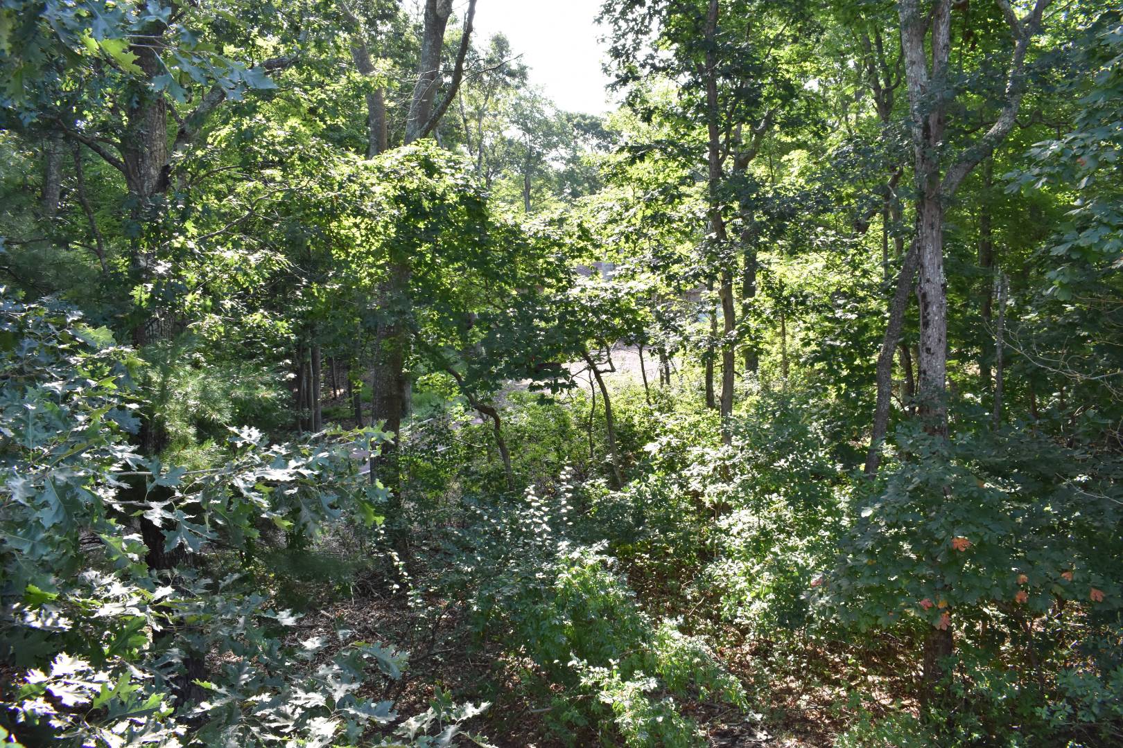 Towns and Country Real Estate