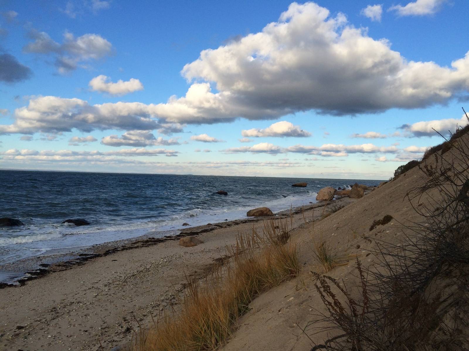   Click for more details  