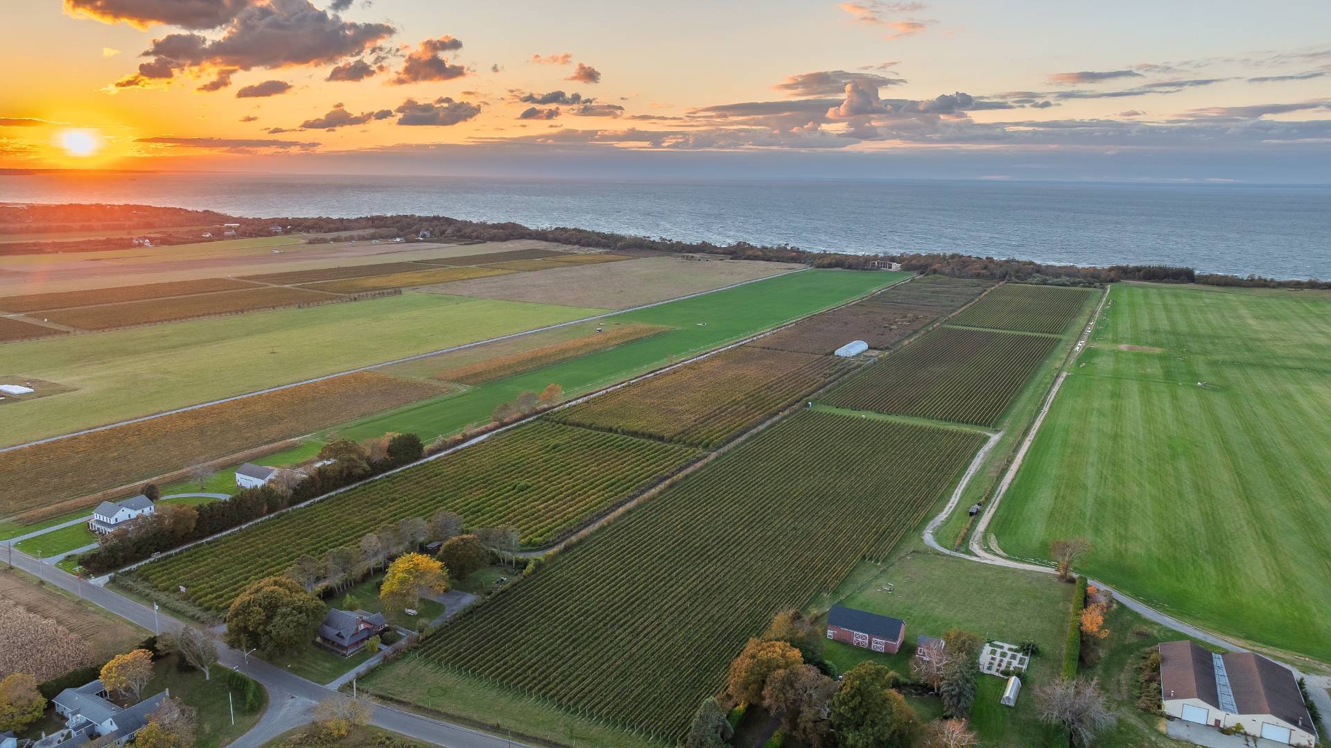 Click for more details